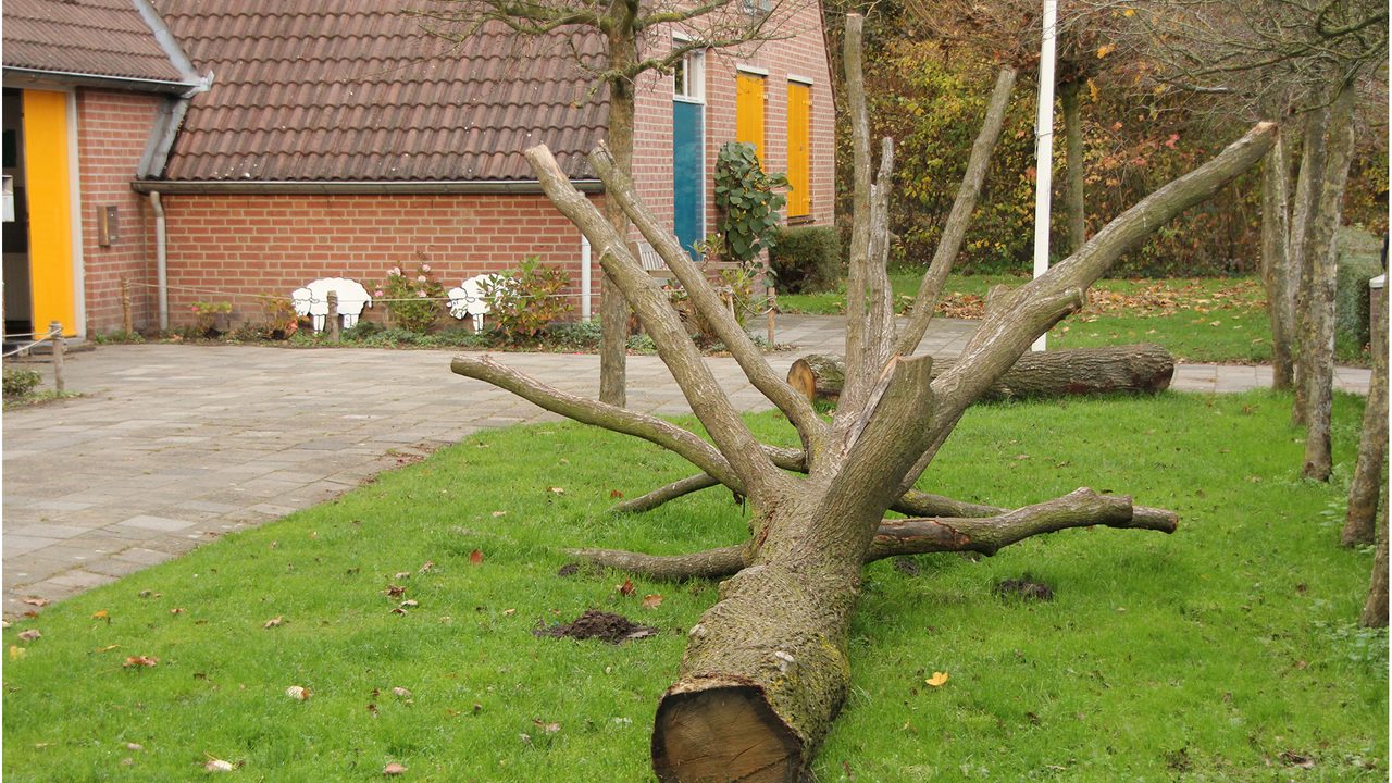 Het buitenterrein bij de entree